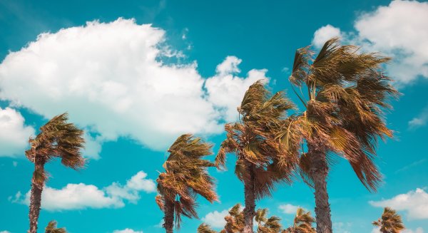 Málaga en alerta amarilla por rachas de viento de hasta 70 km/h hasta el mediodía