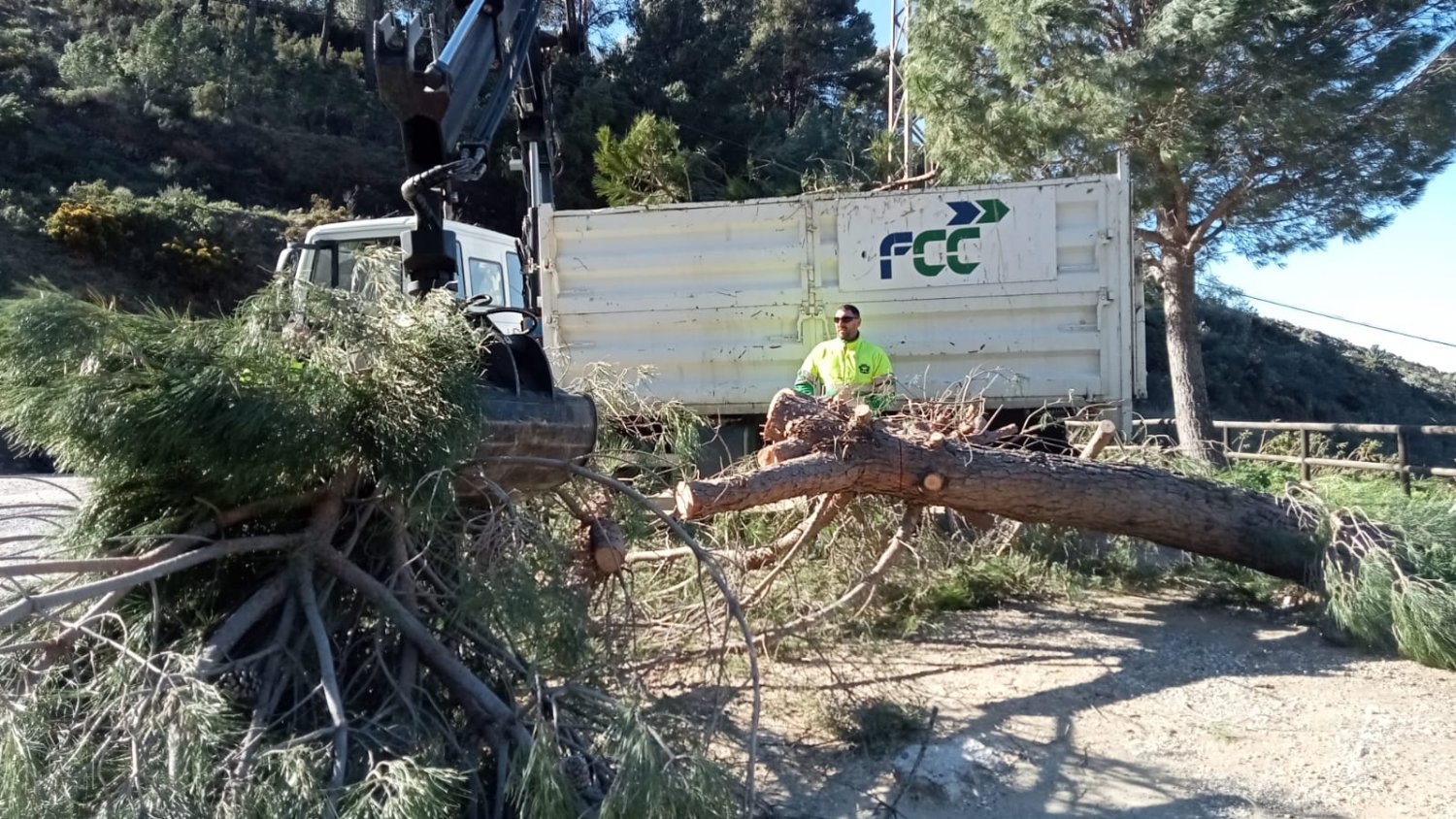 Mijas cifra en 112.000 euros los daños por la pérdida de masa vegetal tras el fuerte temporal de viento