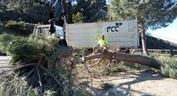 Mijas cifra en 112.000 euros los daños por la pérdida de masa vegetal tras el fuerte temporal de viento