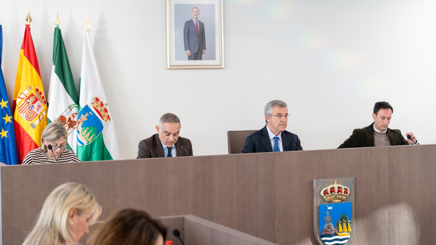 Estepona aprueba el uso de 36 parcelas municipales para construir 738 viviendas protegidas