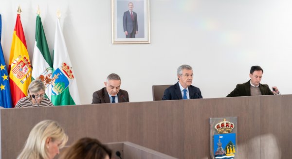 Estepona aprueba el uso de 36 parcelas municipales para construir 738 viviendas protegidas