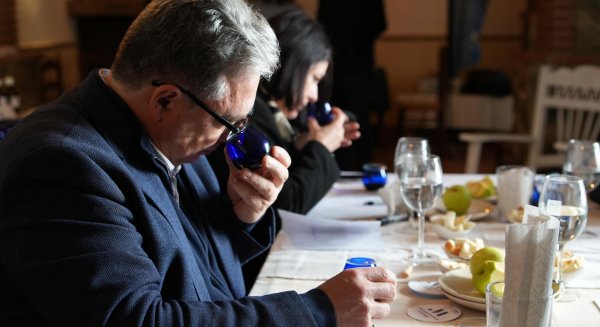 Sabor a Málaga premia la excelencia del AOVE provincial en la XXIV edición de su concurso anual de aceites