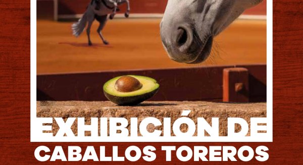 La Diputación organizará una exhibición de caballos toreros en Benamocarra 
