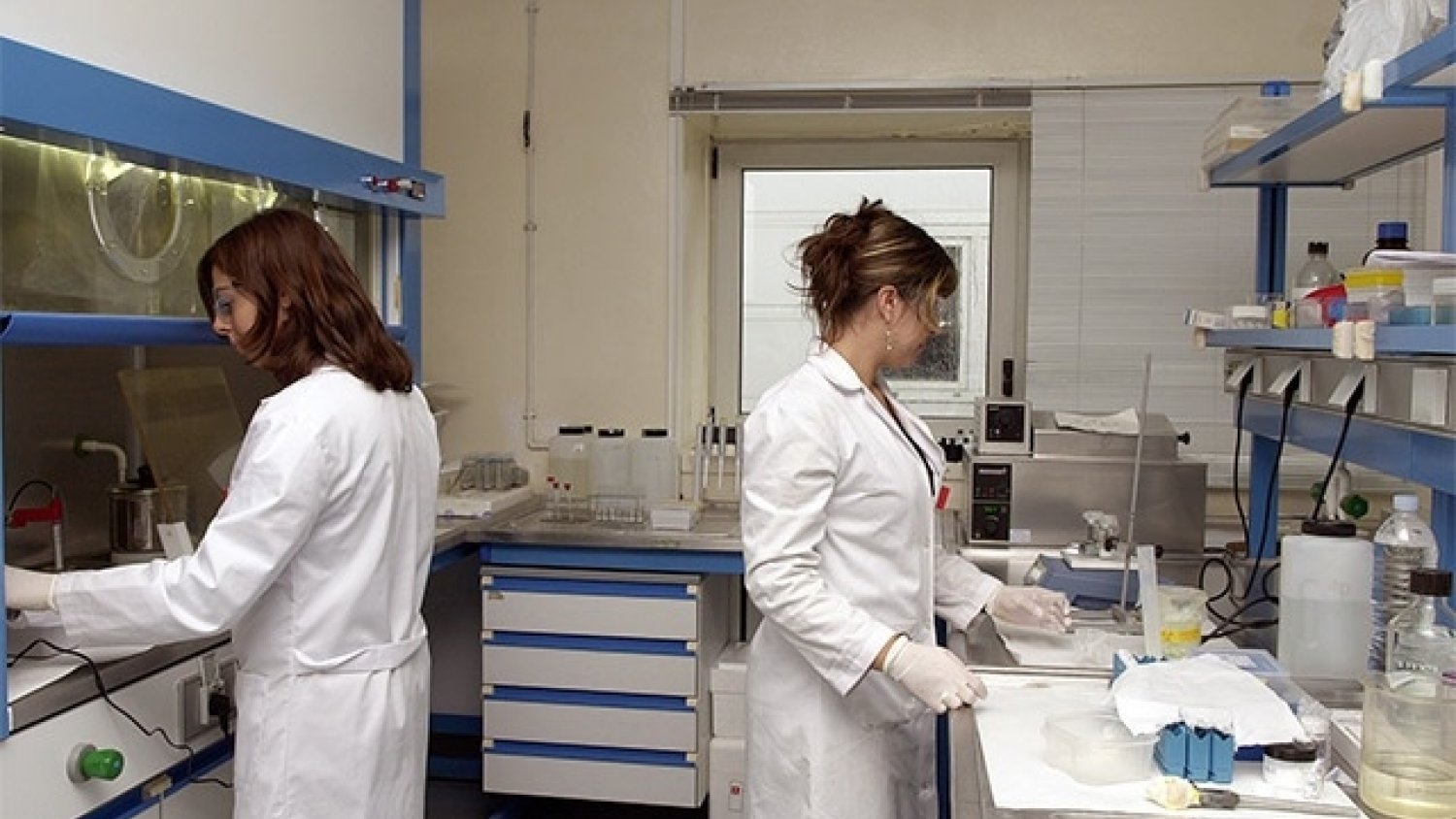 UMA.- Más de medio centenar de investigadoras de la UMA entran en el top 5.000 de mujeres destacadas del CSIC
