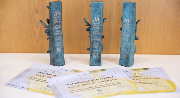 Salado entrega los premios a los mejores AOVE malagueños para impulsar su promoción nacional e internacional