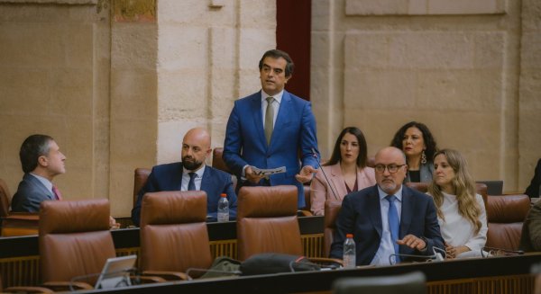 Antonio Sevilla insta a la Junta a 'no limitarse a mirar a Madrid' ante la crisis de conectividad del AVE en Málaga