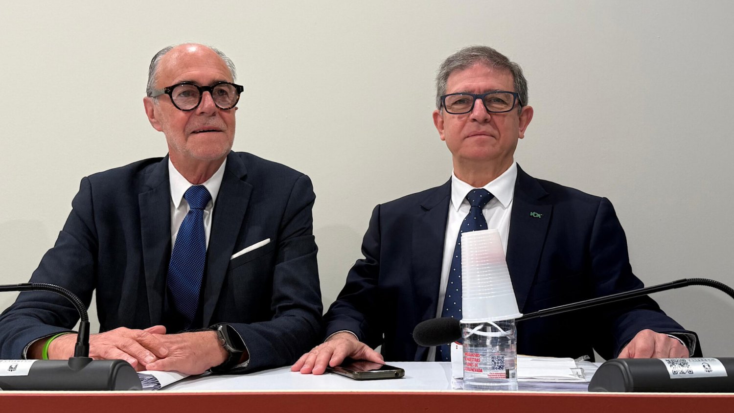 VOX critica que el PP de Marbella rechace frenar la regularización masiva de inmigrantes ilegales