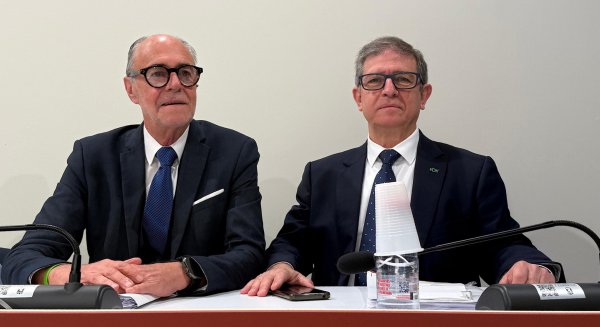 VOX critica que el PP de Marbella rechace frenar la regularización masiva de inmigrantes ilegales