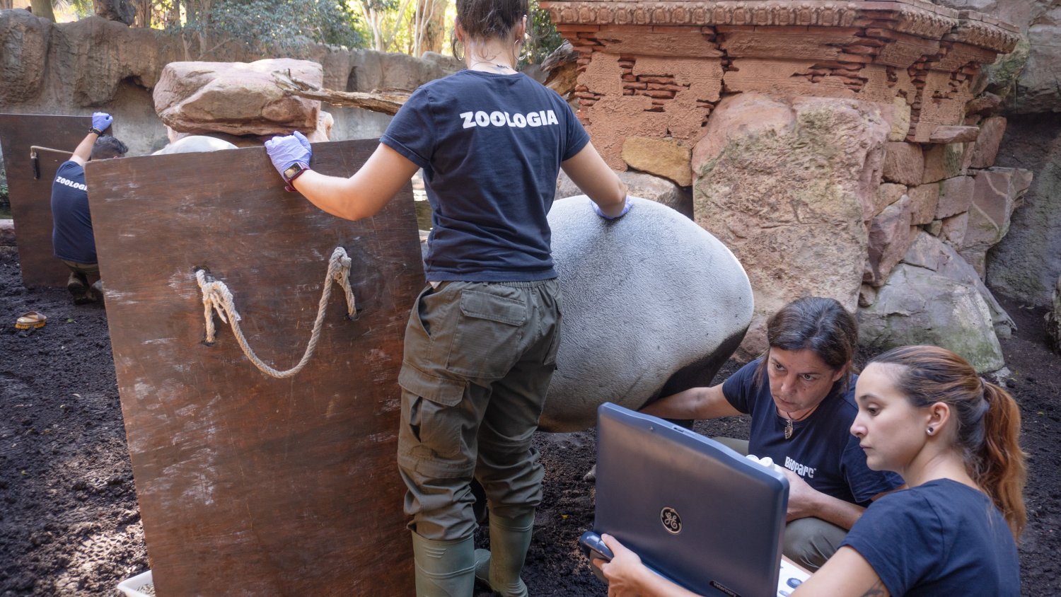 BIOPARC celebra el 8-M poniendo en valor el papel crucial de la mujer en la preservación de especies amenazadas