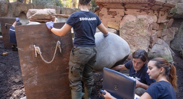 BIOPARC celebra el 8-M poniendo en valor el papel crucial de la mujer en la preservación de especies amenazadas