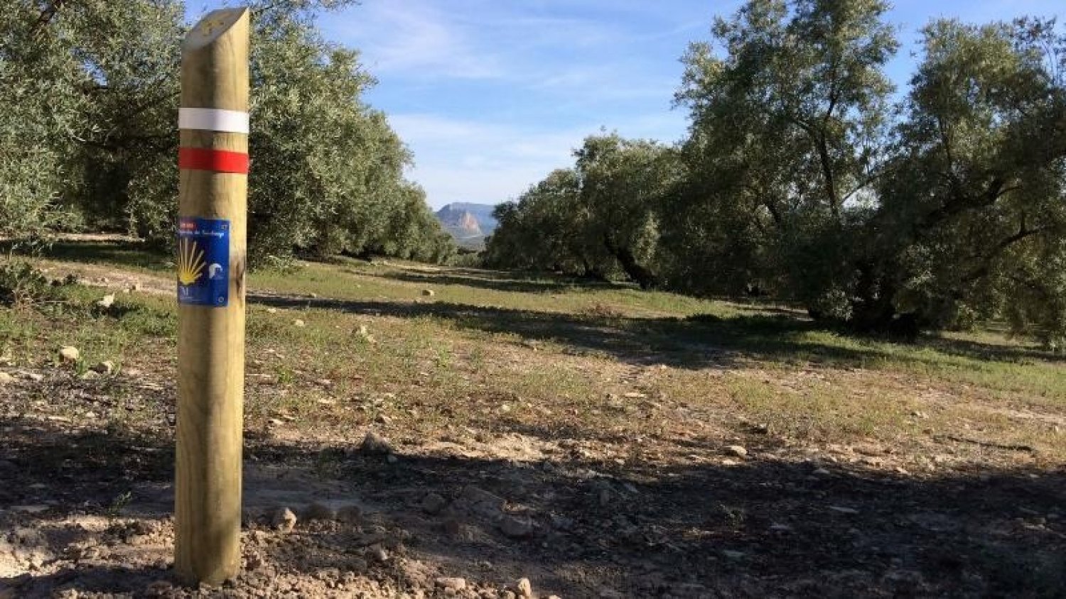 Diputación participa en un proyecto para potenciar el desarrollo turístico del Camino Mozárabe de Santiago