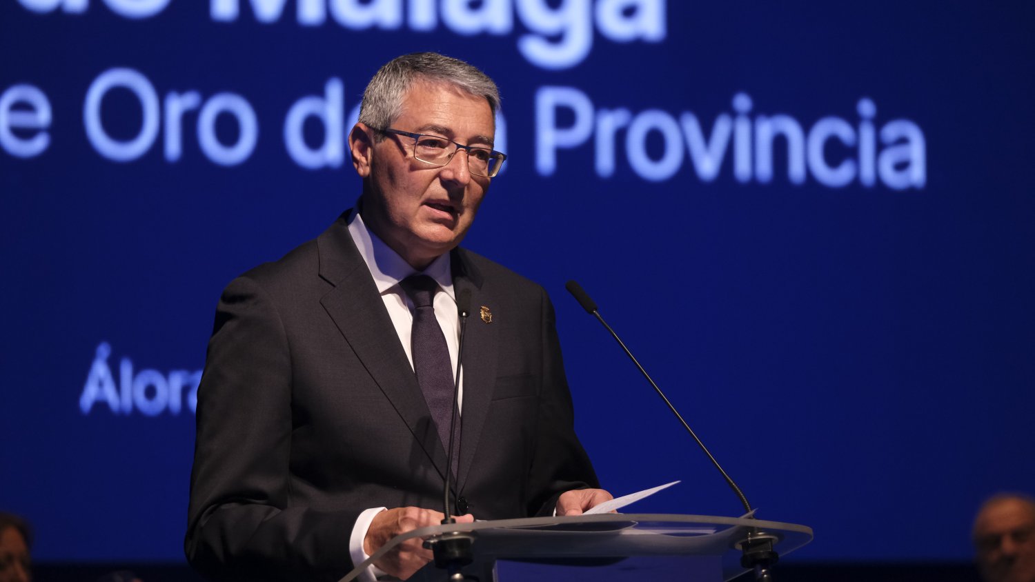 La Diputación de Málaga entregará las Medallas de Oro de la Provincia a Danza Invisible y a la Asociación Alhelí 