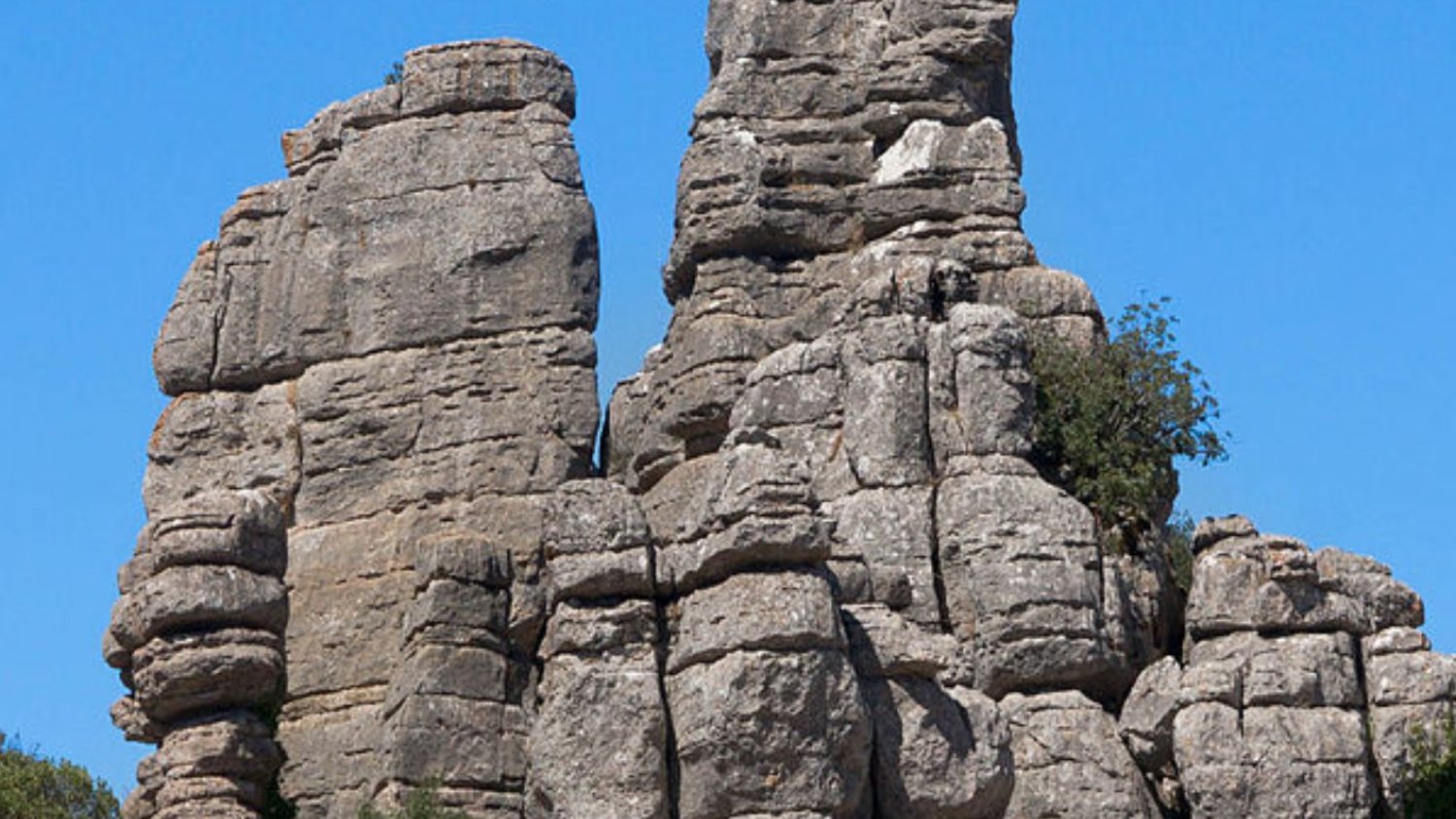 Estepona impulsa excursiones culturales para fomentar el conocimiento del patrimonio local