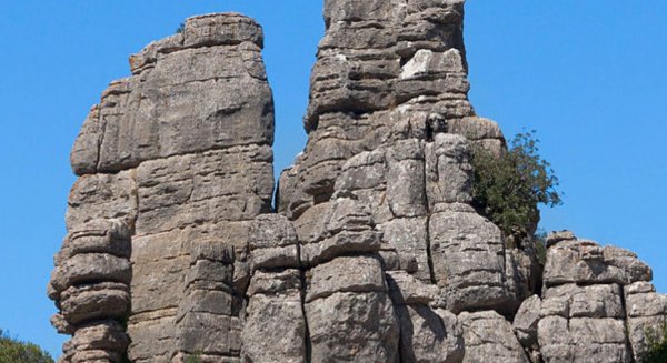 Estepona impulsa excursiones culturales para fomentar el conocimiento del patrimonio local