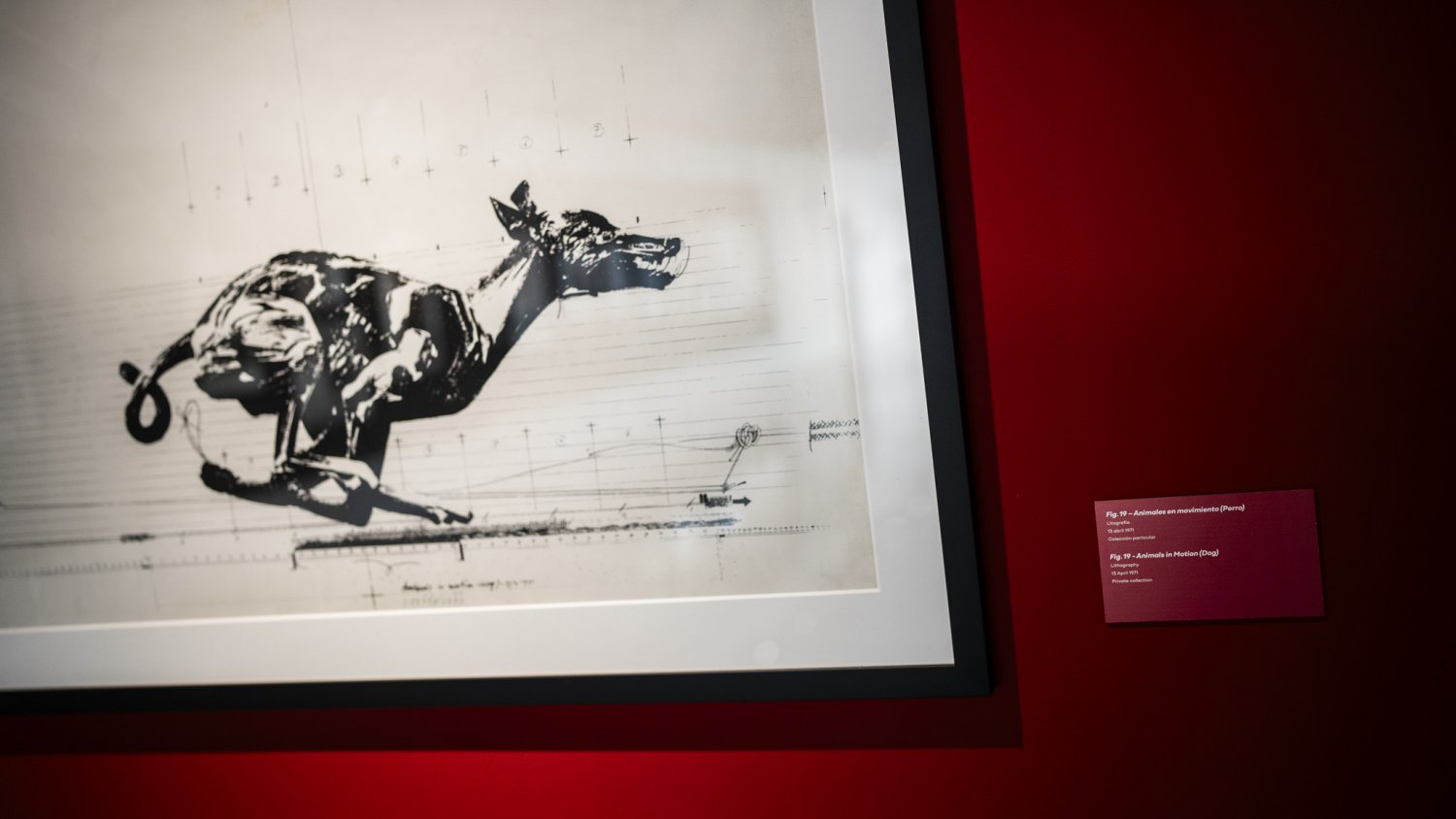 Málaga presenta la exposición de Vladimir Veličković sobre la huida y el cuerpo en movimiento