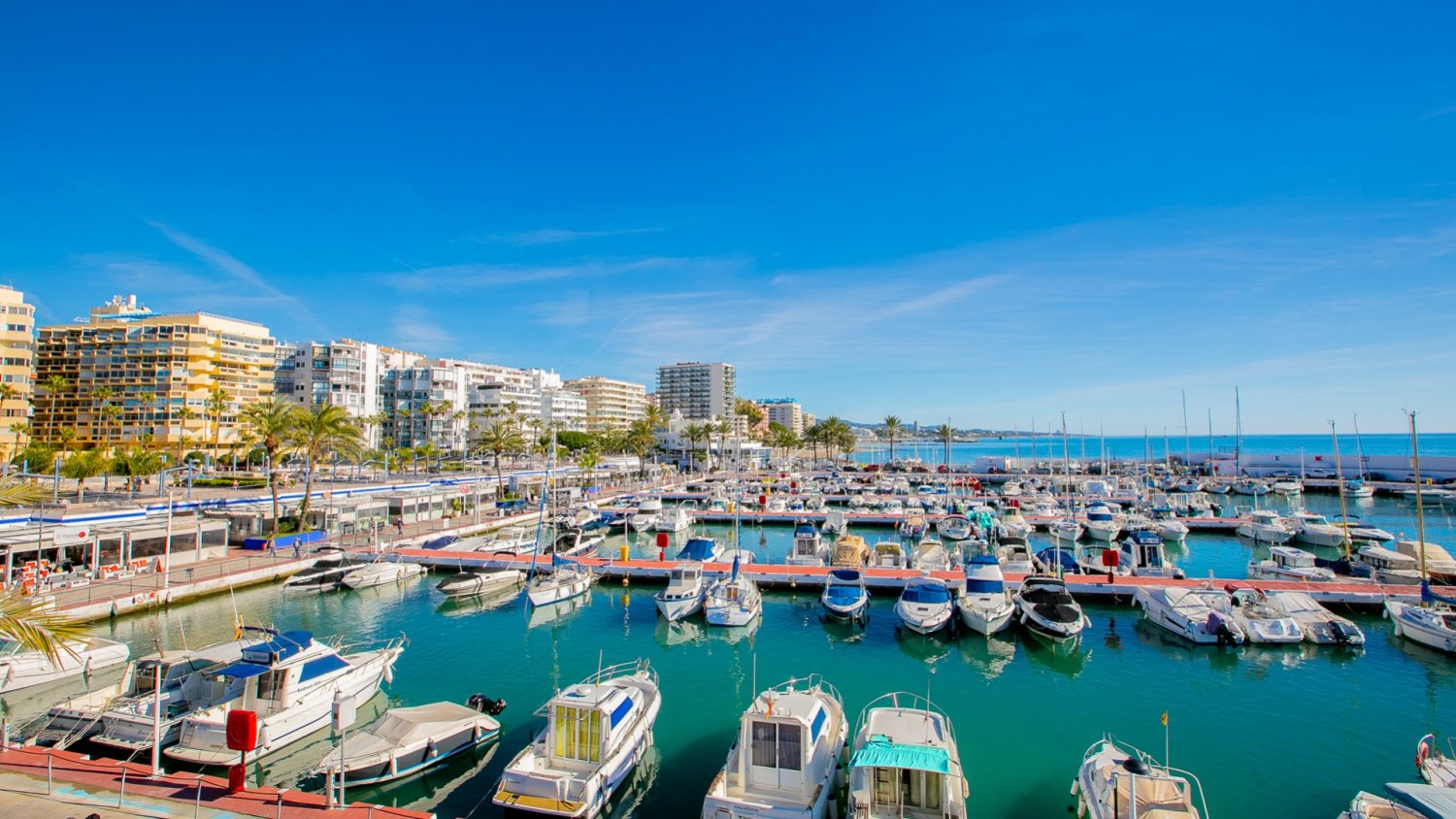 El Puerto Deportivo Virgen del Carmen de Marbella acoge este sábado una jornada de limpieza del fondo marino