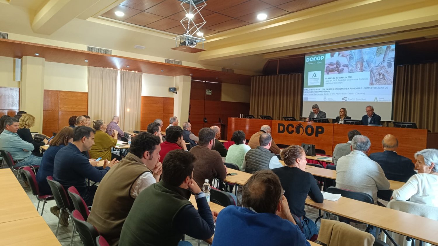 IFAPA organiza tres jornadas informativas sobre el impacto del gusano cabezudo y la avispilla en el cultivo del almendro