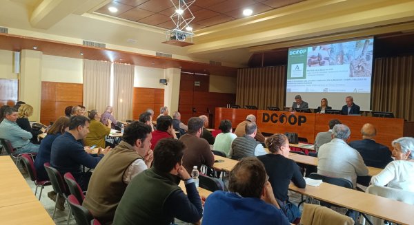 IFAPA organiza tres jornadas informativas sobre el impacto del gusano cabezudo y la avispilla en el cultivo del almendro