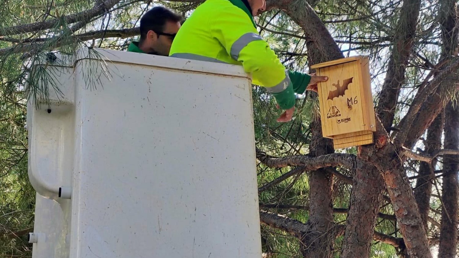 Estepona instala cajas nido para murciélagos y autillos en los parques públicos de Los Abuelos y Seghers