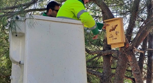 Estepona instala cajas nido para murciélagos y autillos en los parques públicos de Los Abuelos y Seghers
