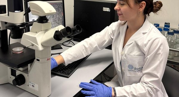 Investigadores de la UMA revelan el potencial antitumoral de un compuesto de la granada frente al cáncer de mama