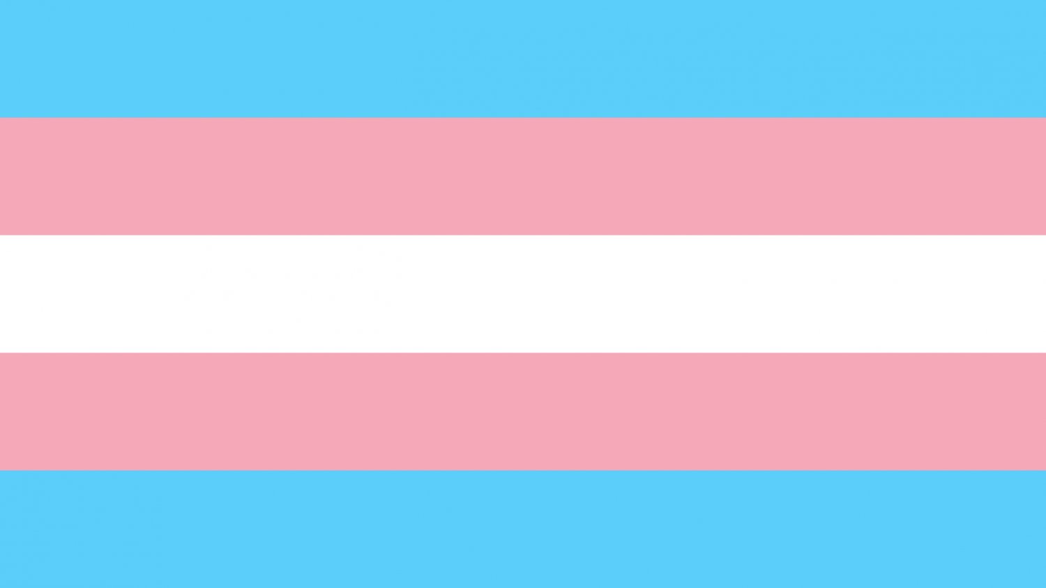 Marbella conmemora el Día Internacional de la Visibilidad Trans poniendo el foco en la igualdad real