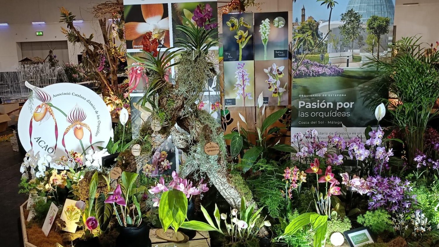 El Orquidario de Estepona obtiene el segundo premio en la Conferencia Mundial de Orquídeas celebrada en Dresde