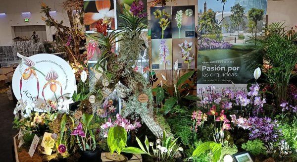 El Orquidario de Estepona obtiene el segundo premio en la Conferencia Mundial de Orquídeas celebrada en Dresde