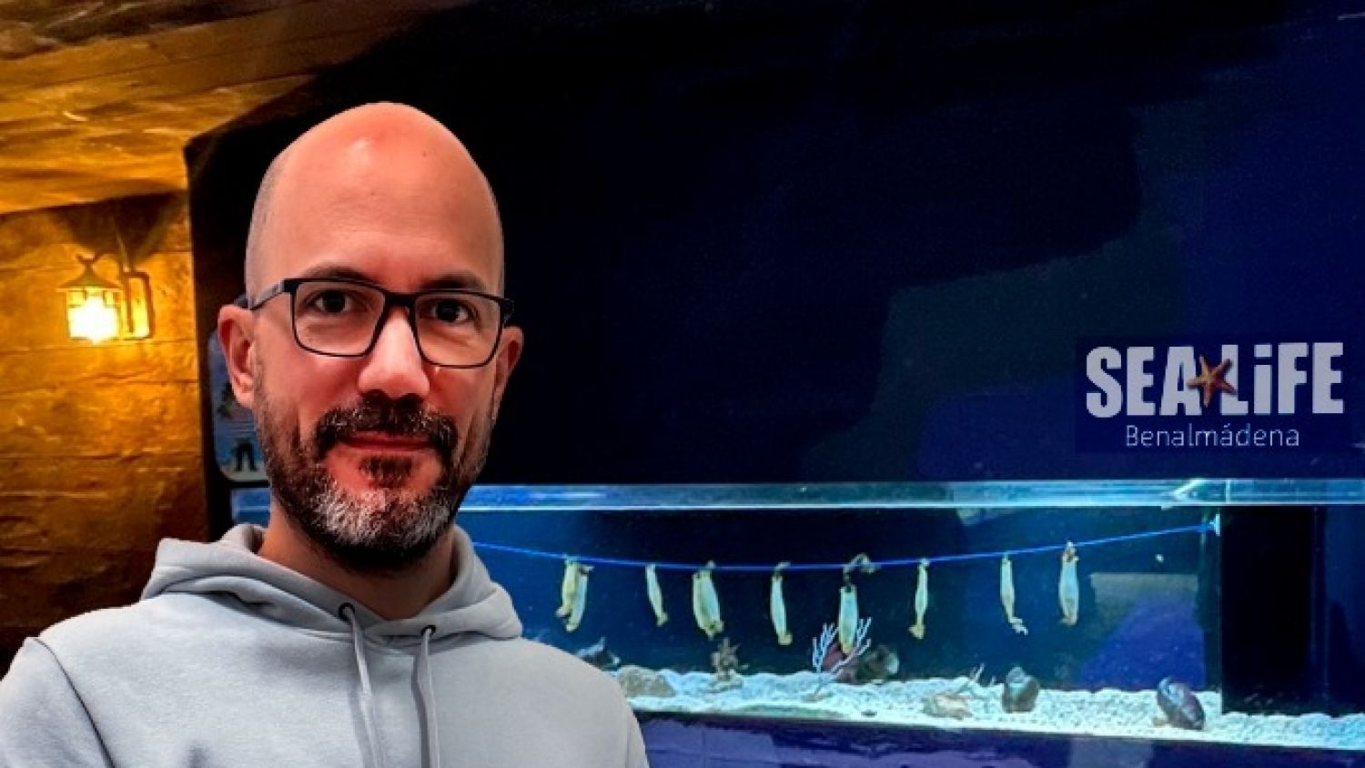 Sea Life Benalmádena y la UMA firman un acuerdo para investigar el origen de enfermedades sanguíneas a través de embriones de tiburón