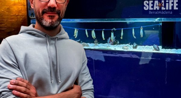 Sea Life Benalmádena y la UMA firman un acuerdo para investigar el origen de enfermedades sanguíneas a través de embriones de tiburón