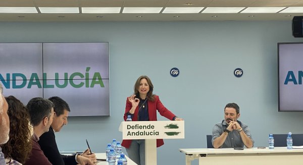 Navarro reivindica la gestión del PP de Málaga y fija como objetivo para las próximas elecciones una mayoría amplia en Andalucía 