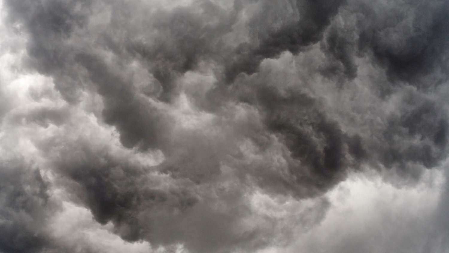 Agricultura convoca la línea extraordinaria de ayudas para los sectores agrario y pesquero afectados por las borrascas