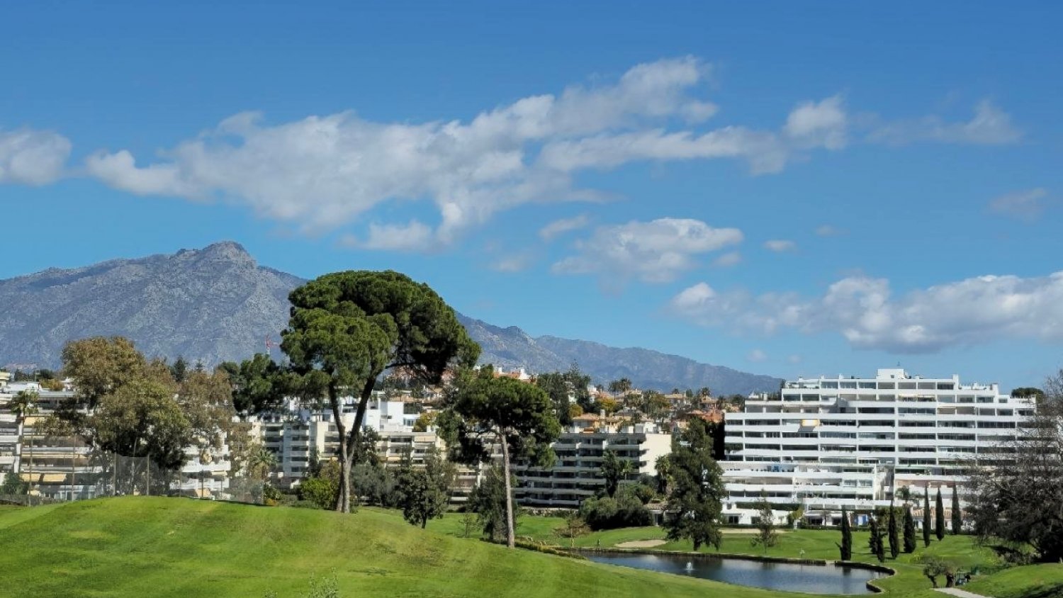 La Cátedra Real Estate Alfil analiza en Málaga el futuro del sector con el golf y la construcción industrializada