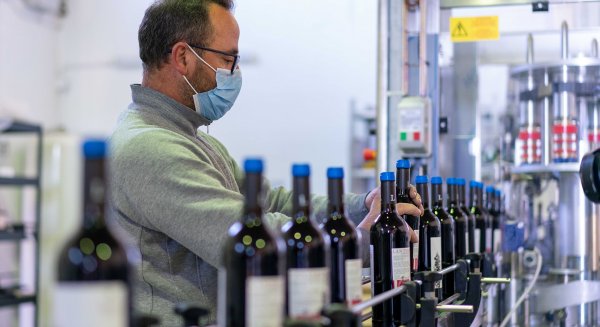 Onucoop duplica las exportaciones de sus vinos en plena pandemia