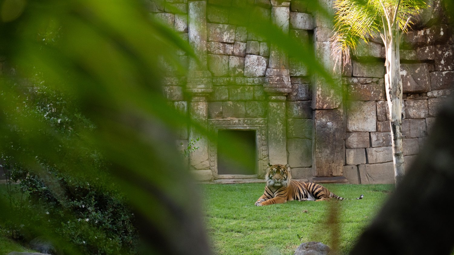 Bioparc Fuengirola lanza 'Origen', un concurso de fotografía para celebrar su 25º aniversario