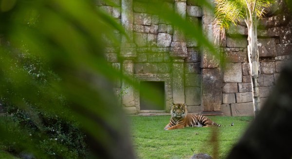 Bioparc Fuengirola lanza 'Origen', un concurso de fotografía para celebrar su 25º aniversario