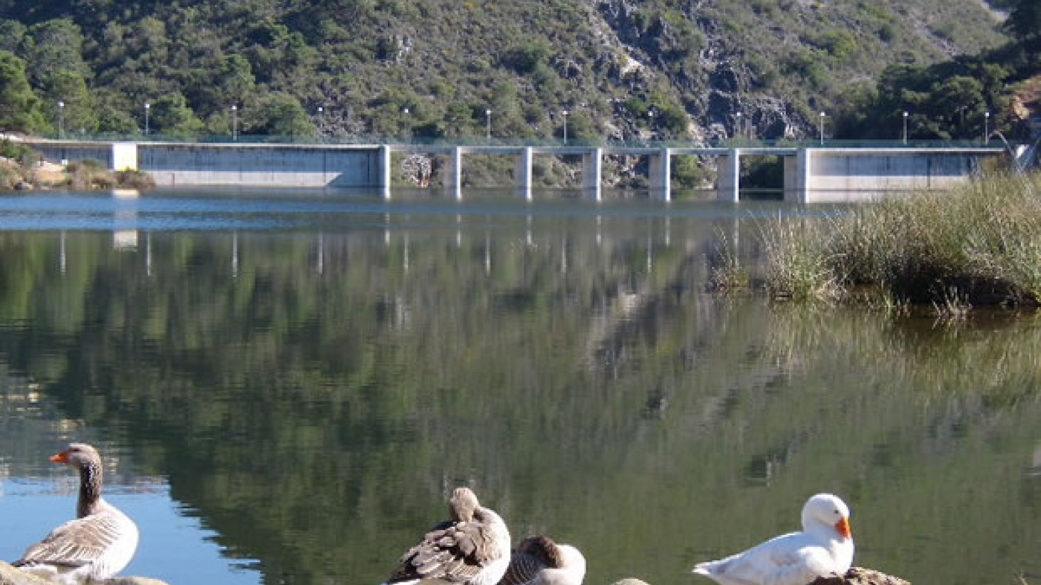 Un hombre muere y un menor de 12 años resulta herido tras caer con su coche por un desnivel
