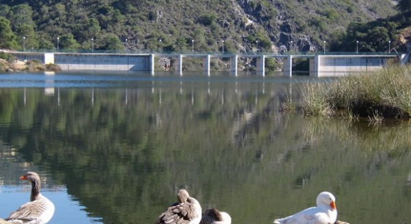 Un hombre muere y un menor de 12 años resulta herido tras caer con su coche por un desnivel