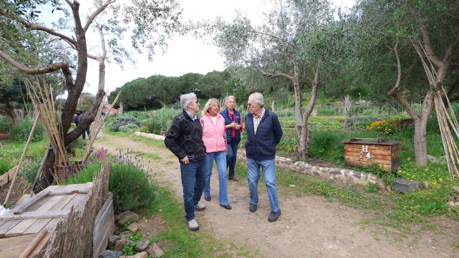 Los huertos urbanos de Marbella cumplen 15 años como espacio de convivencia y cultivo sostenible 