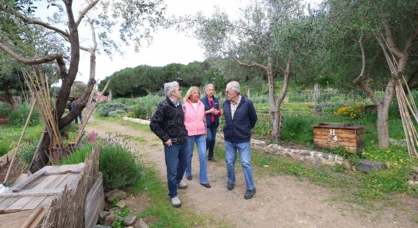 Los huertos urbanos de Marbella cumplen 15 años como espacio de convivencia y cultivo sostenible 