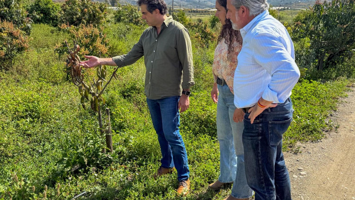 VOX denuncia en la Axarquía que se obligue a los agricultores a usar aguas regeneradas 