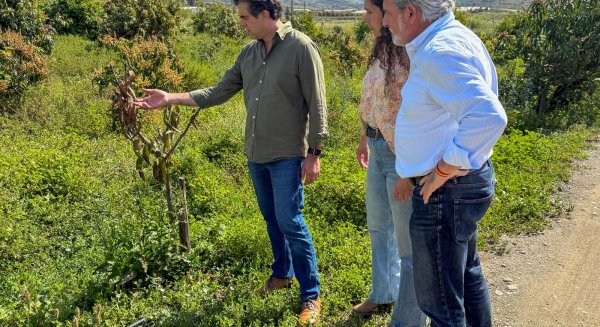VOX denuncia en la Axarquía que se obligue a los agricultores a usar aguas regeneradas 