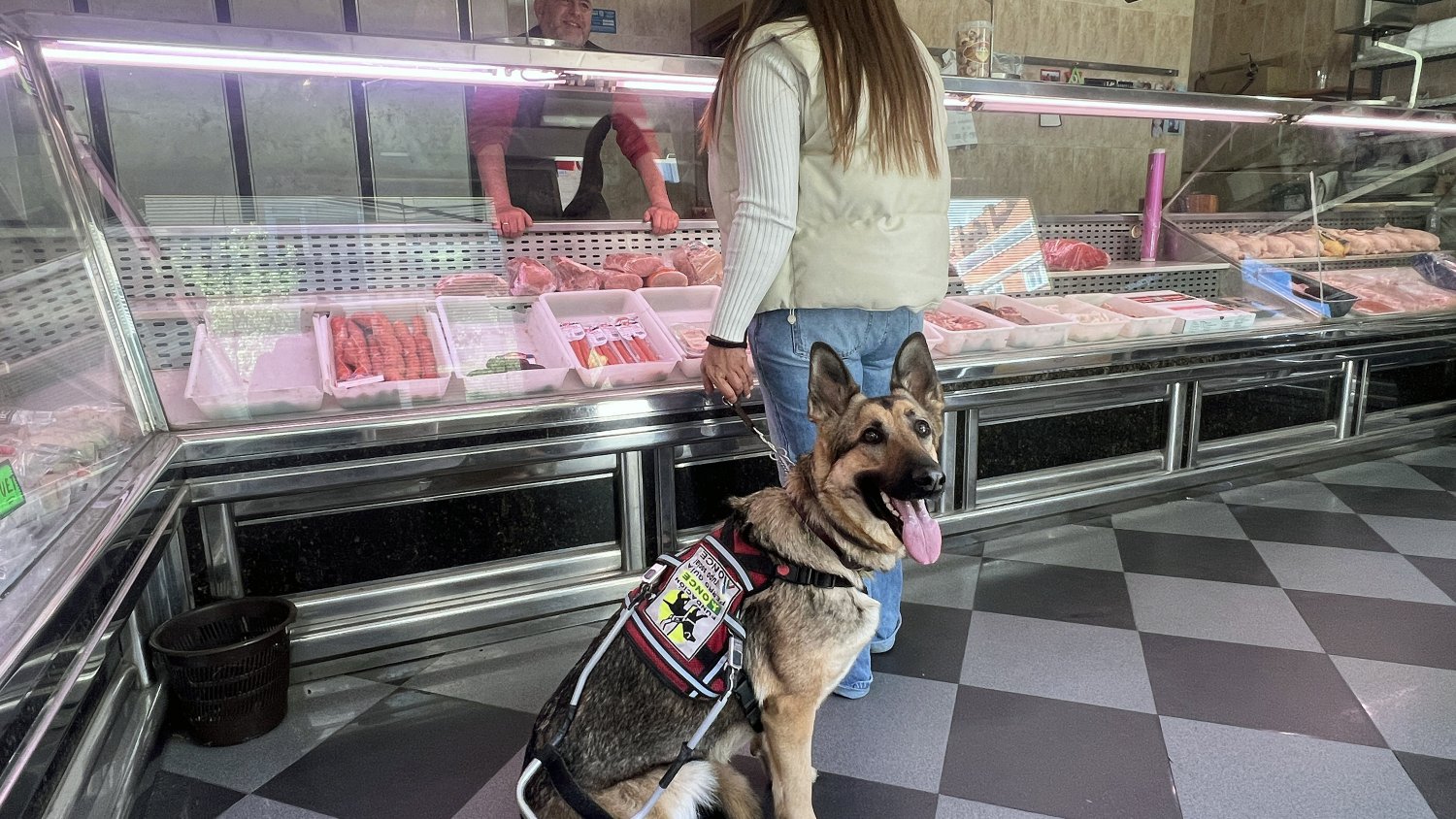 Los usuarios de los perros guía de la ONCE de Málaga reivindican su derecho a acceder a los comercios de alimentación