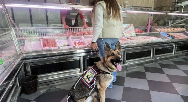 Los usuarios de los perros guía de la ONCE de Málaga reivindican su derecho a acceder a los comercios de alimentación