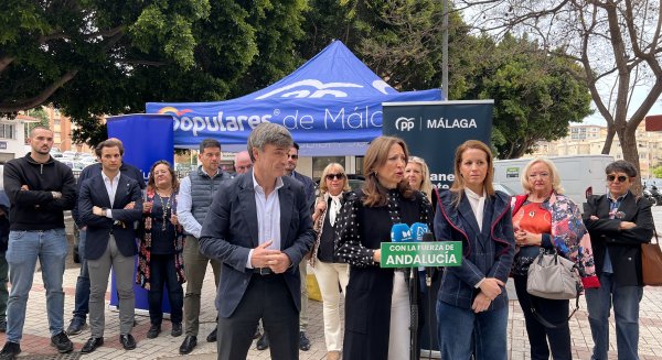 Navarro cifra en 25.000 las viviendas de Málaga afectadas por el 'déficit' de infraestructura eléctrica