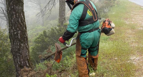 Mijas intensifica la limpieza y poda de su sierra para prevenir incendios ante la llegada del verano