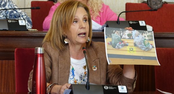 PSOE pide al Ayuntamiento agilidad en la implantación del contenedor marrón en todos los distritos