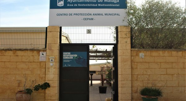 El Centro de Protección Animal Municipal suma una decena de personas voluntarias para apoyar el cuidado de los animales 