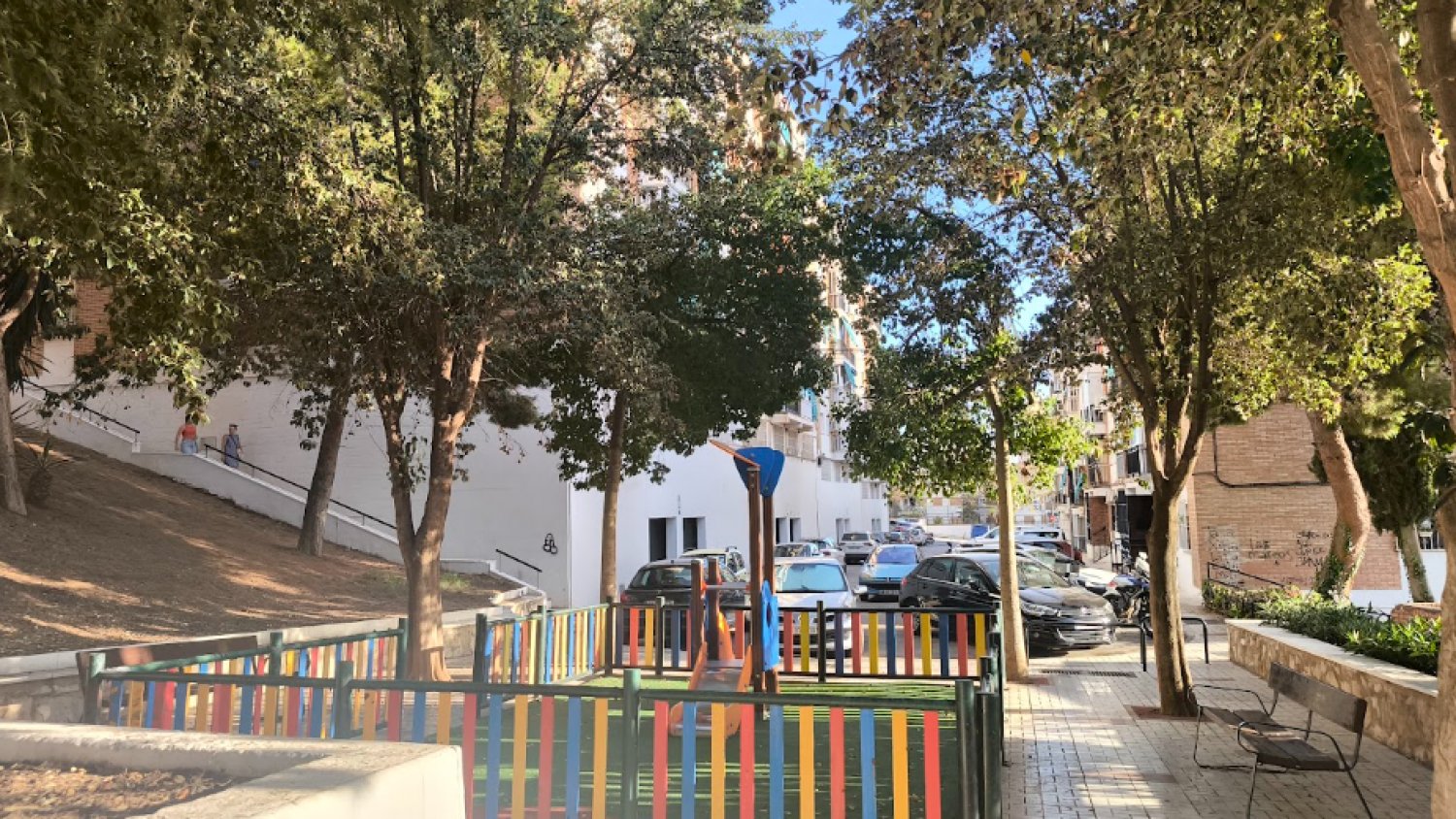 Con Málaga solicita la sustitución de los “árboles pica-pica” de Alegría de la Huerta por las afecciones que provocan