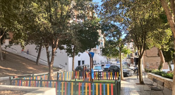 Con Málaga solicita la sustitución de los “árboles pica-pica” de Alegría de la Huerta por las afecciones que provocan